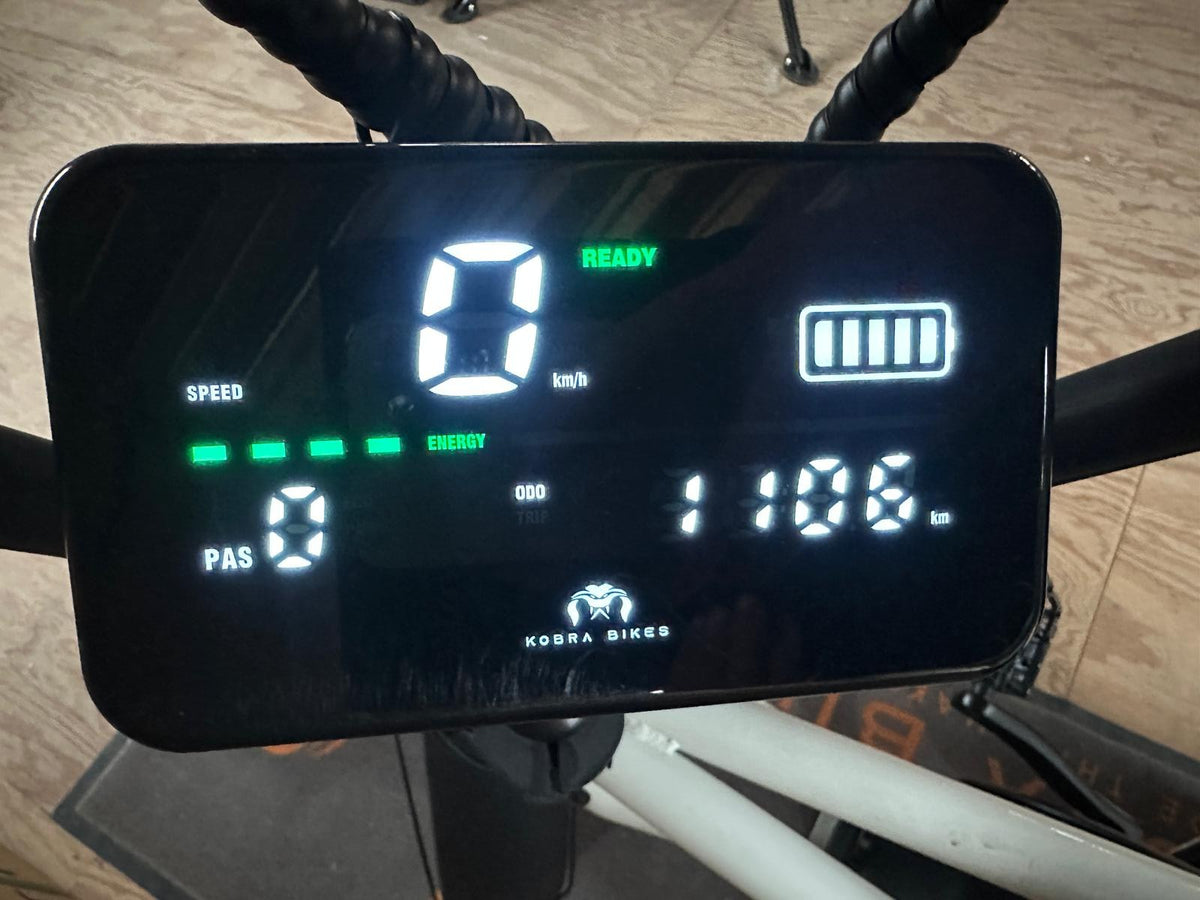 KOBRA V1.2 Fatbike Chalk Grey – demo #06 – km-stand